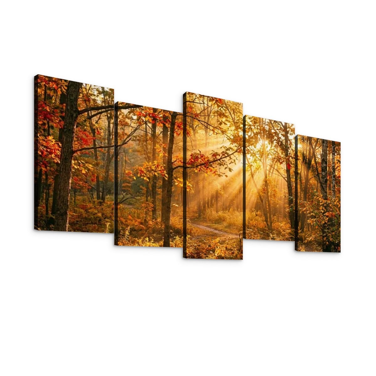 Autumn Forest Fall Sun Rays Canvas Panel Wall Art Living Bed Room Print