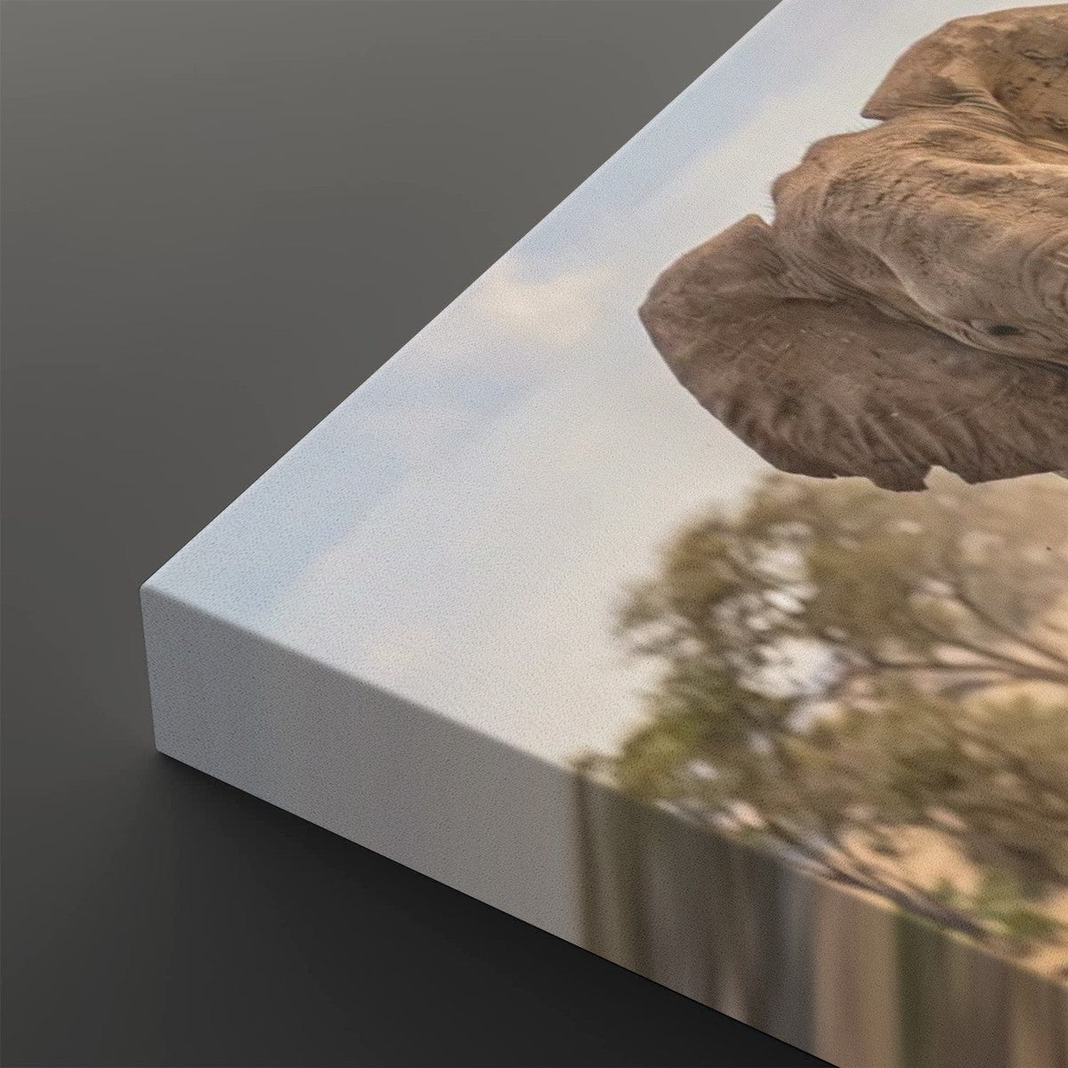 Majestic Elephant Charging Through Savanna 1, 3, 5-Panel Split Canvas Wall Art