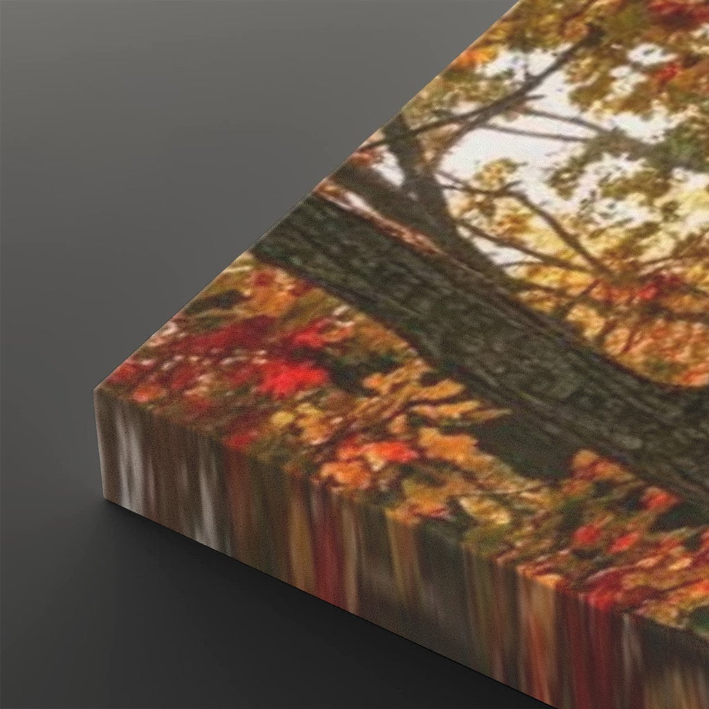 Autumn Forest Fall Sun Rays Canvas Panel Wall Art Living Bed Room Print