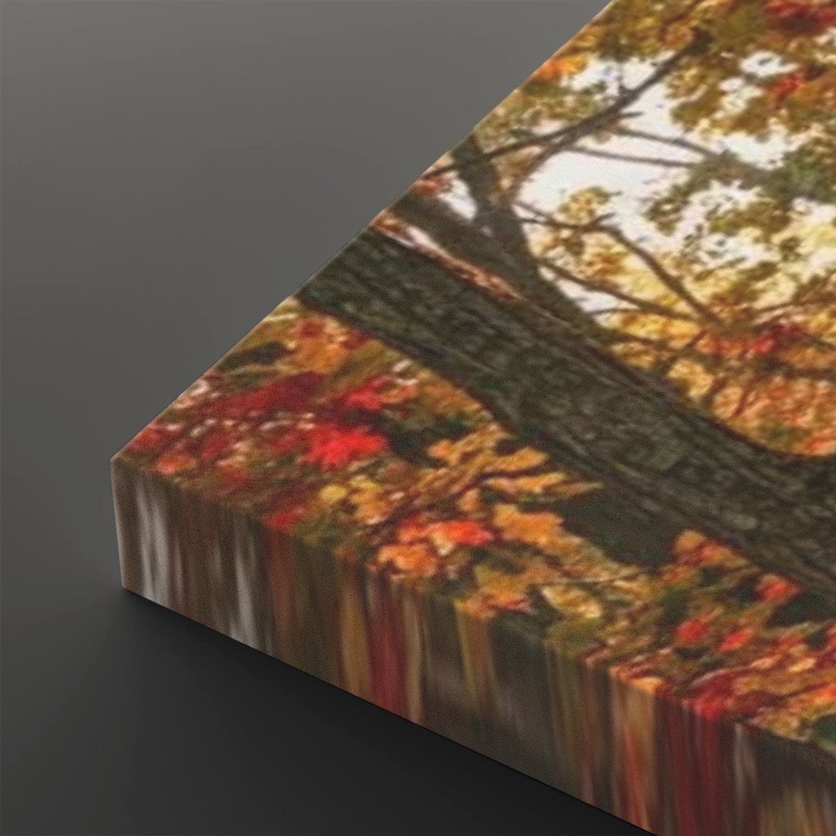 Autumn Forest Fall Sun Rays Canvas Panel Wall Art Living Bed Room Print