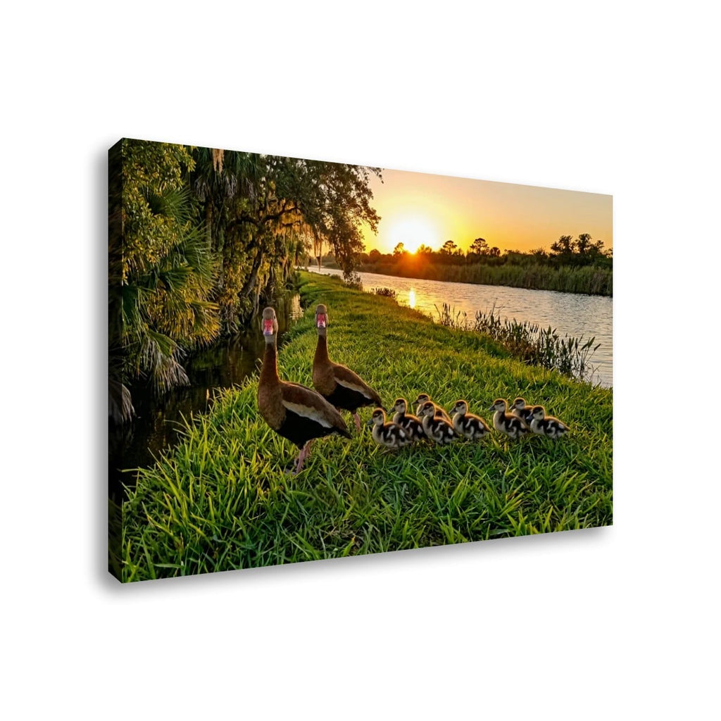 A rectangular canvas wall art print showing a family of ducks standing on grass beside a lake at sunset, photographed against a plain white background.