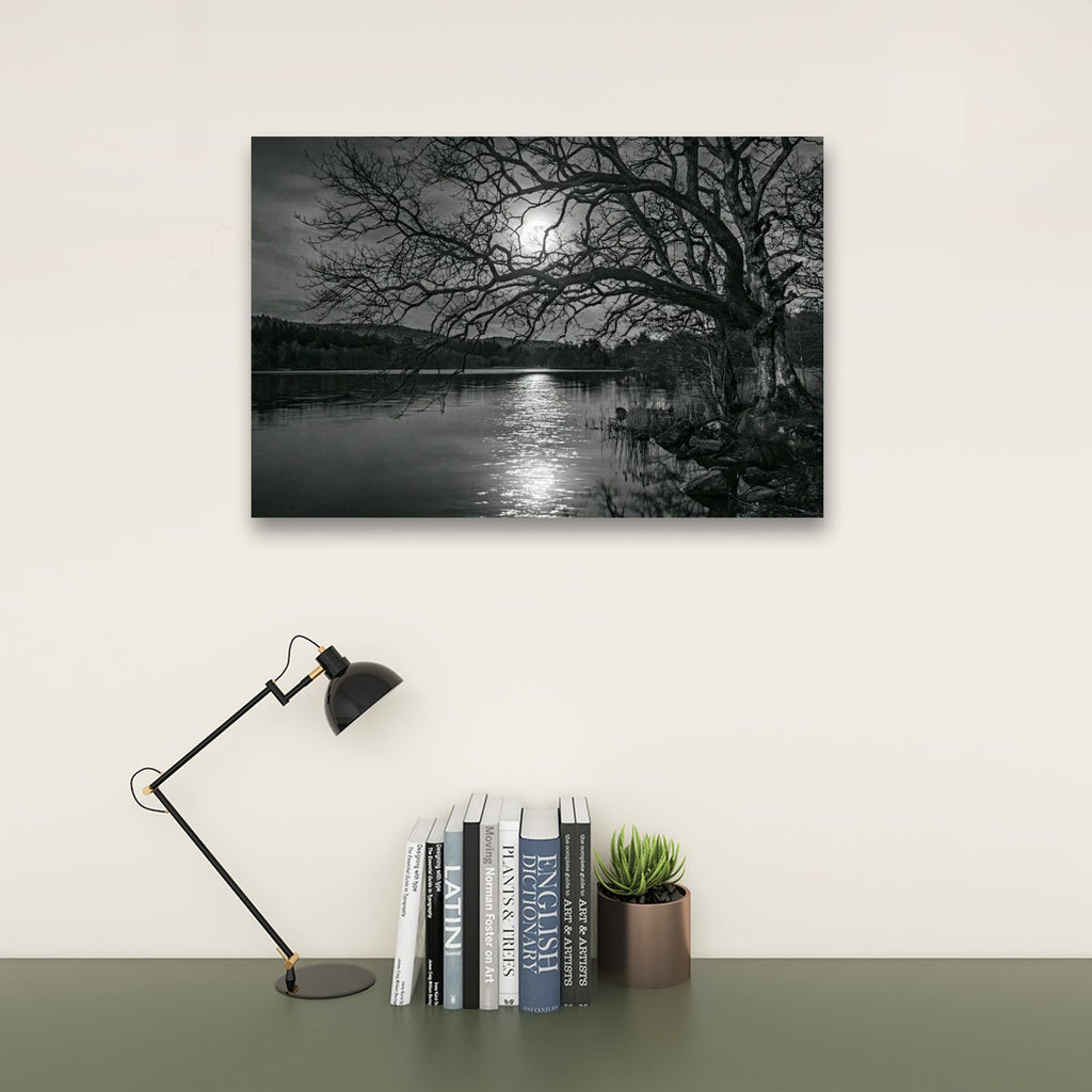 A black and white landscape wall art print depicting a tree by a lake at night under a full moon, displayed on a cream wall above a desk with a lamp, books, and a small plant.