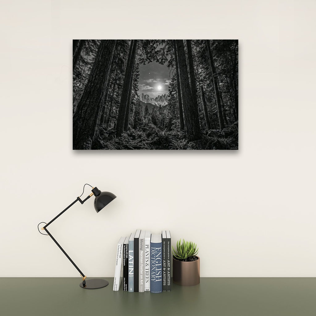 Enchanted Moonlit Forest Living room wall decor over sofa