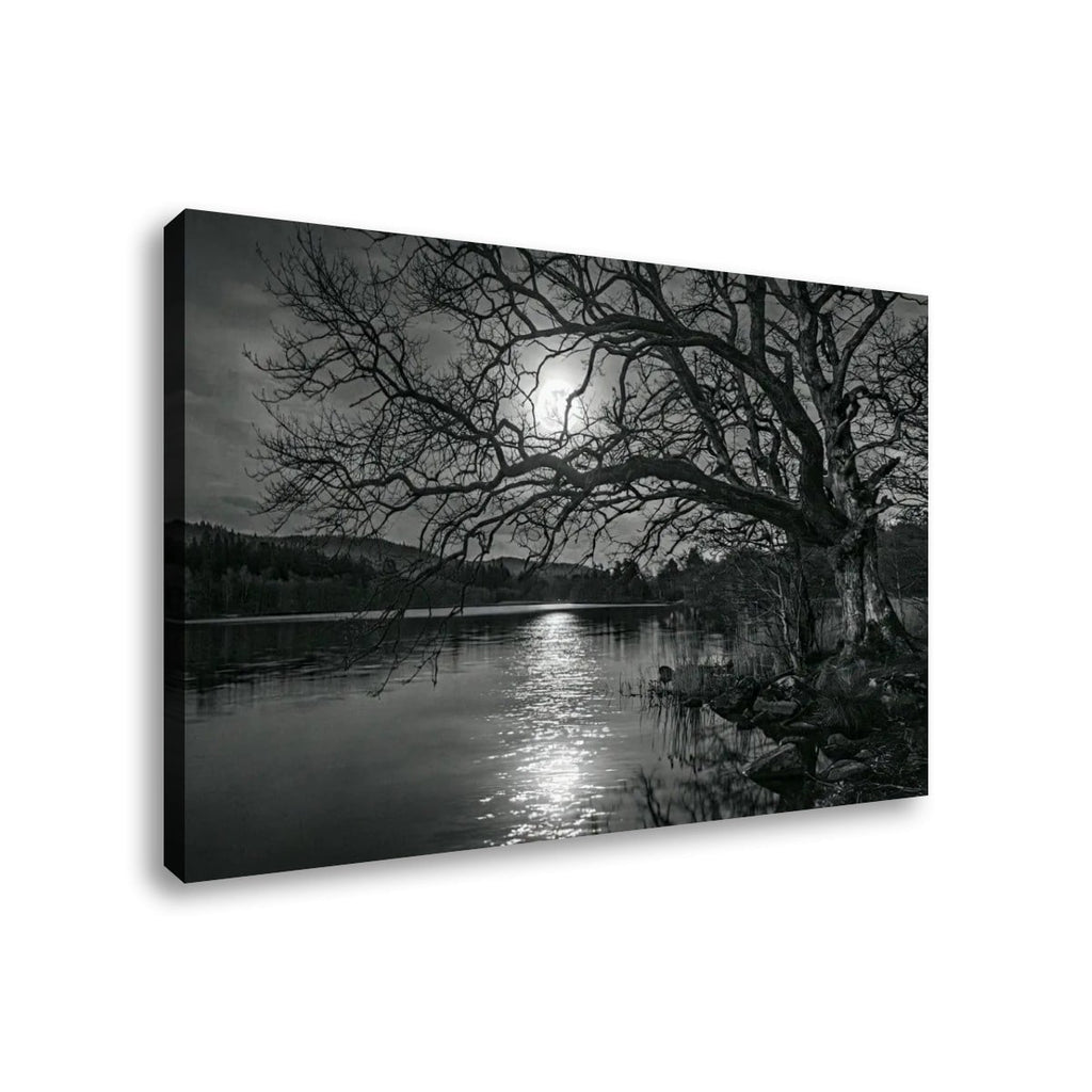 Black and white canvas wall art showing a moody lakeside scene with bare tree branches silhouetted against the sun, reflected on the water, and dark hills in the background.