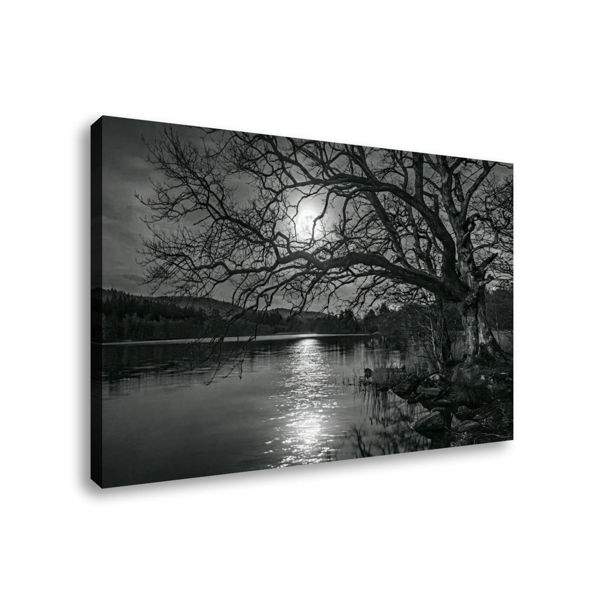 Black and white canvas wall art showing a moody lakeside scene with bare tree branches silhouetted against the sun, reflected on the water, and dark hills in the background.