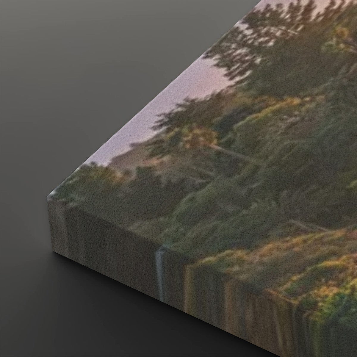 A rectangular canvas print shown at an angle on a dark gray background, featuring a scenic landscape with dense green trees and shrubs under warm golden light.