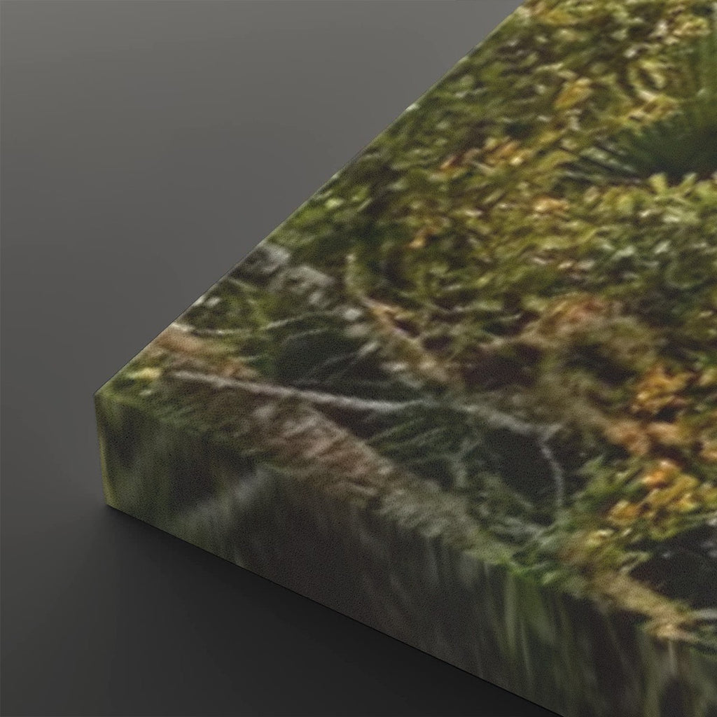 A close-up of a rectangular panel or block printed with a detailed forest floor scene, showing green moss, ferns, and brown branches, photographed against a dark gray background.