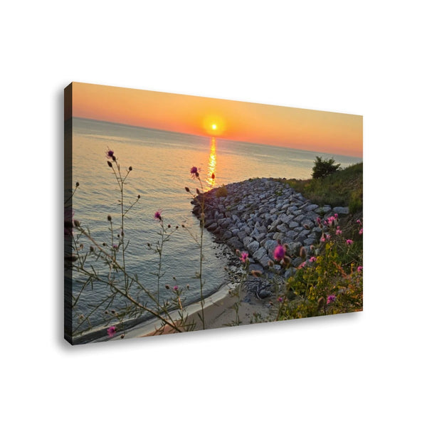 A rectangular canvas wall art print showing a coastal sunset scene with calm water, a rocky shoreline, and pink flowers in the foreground, photographed against a plain white background.