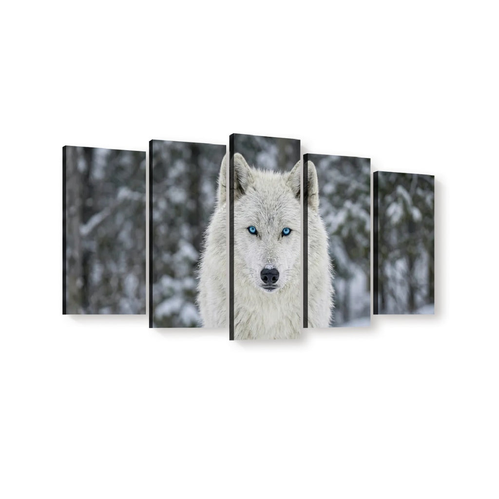 Five-panel canvas wall art showing a close-up portrait of a white wolf with bright blue eyes in a snowy forest, displayed against a light gray background.