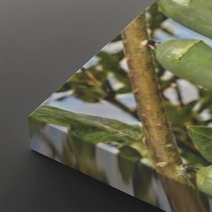 A close-up angled view of a rectangular print or panel showing a nature scene with green leaves, a brown branch, and pale sky, set against a dark gray background.