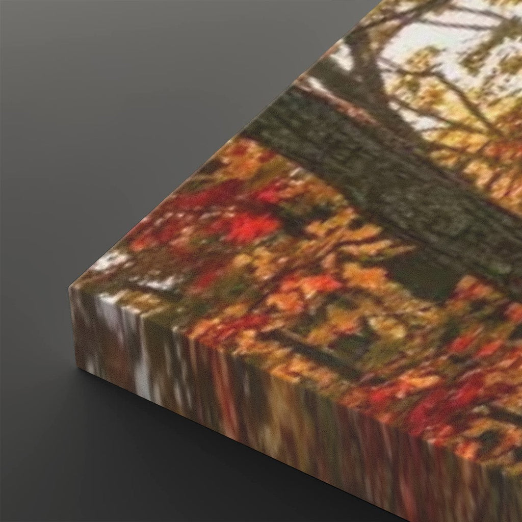 Autumn Forest Fall Sun Rays Canvas Panel Wall Art Living Bed Room Print