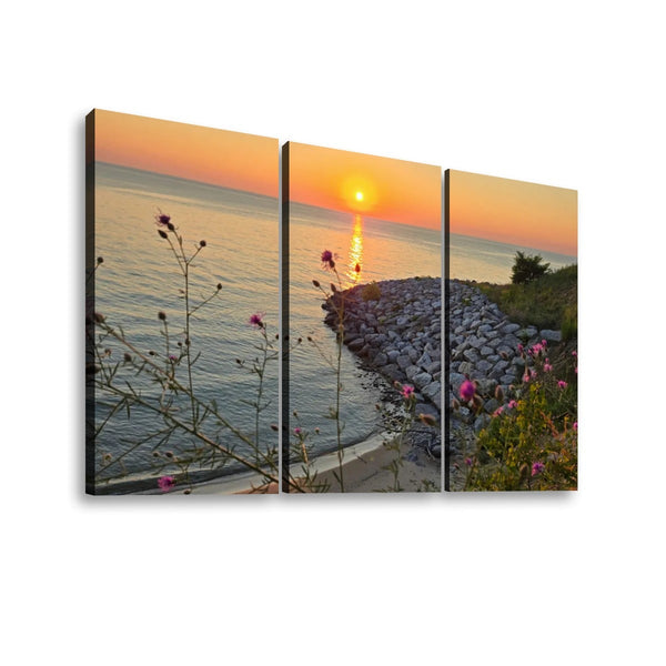 Three-panel canvas wall art showing a coastal sunset over calm water, with a rocky shoreline, greenery, and pink flowers in the foreground, displayed against a light gray background.