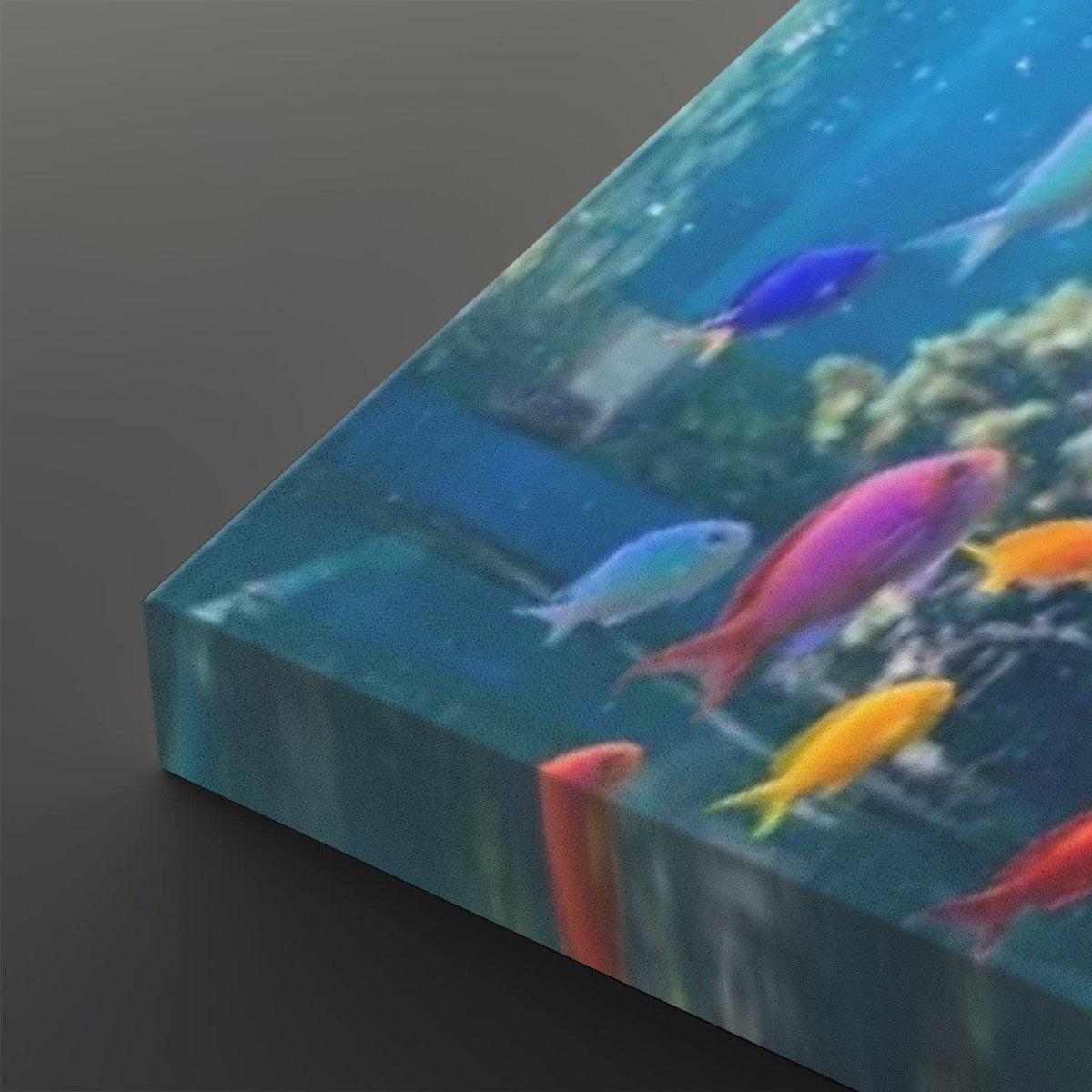 Colorful Fish Aquarium Canvas Wall Art — Vibrant Multi-Panel Print