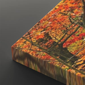 A close-up of a rectangular wall art print or canvas showing an autumn forest scene with vivid orange, red, yellow, and brown foliage, photographed against a dark gray background.