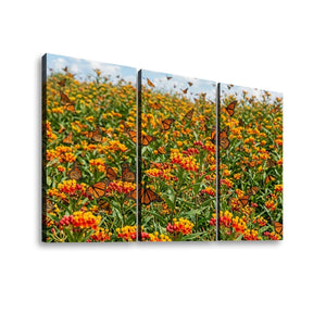 Three-panel canvas wall art showing a field of orange and yellow flowers with monarch butterflies, displayed against a plain white background.