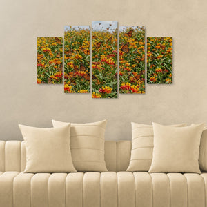 Set of five framed artworks depicting a field with flowers and butterflies on a beige wall above a beige sofa.