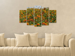 Set of five framed artworks depicting a field with flowers and butterflies on a beige wall above a beige sofa.
