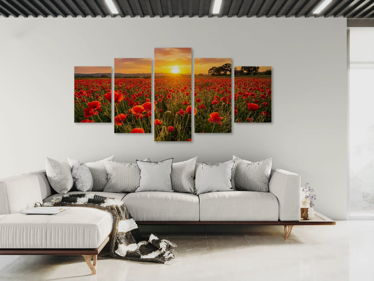 Five-panel canvas print of a sunset over a field of red poppie flowers in a living room.