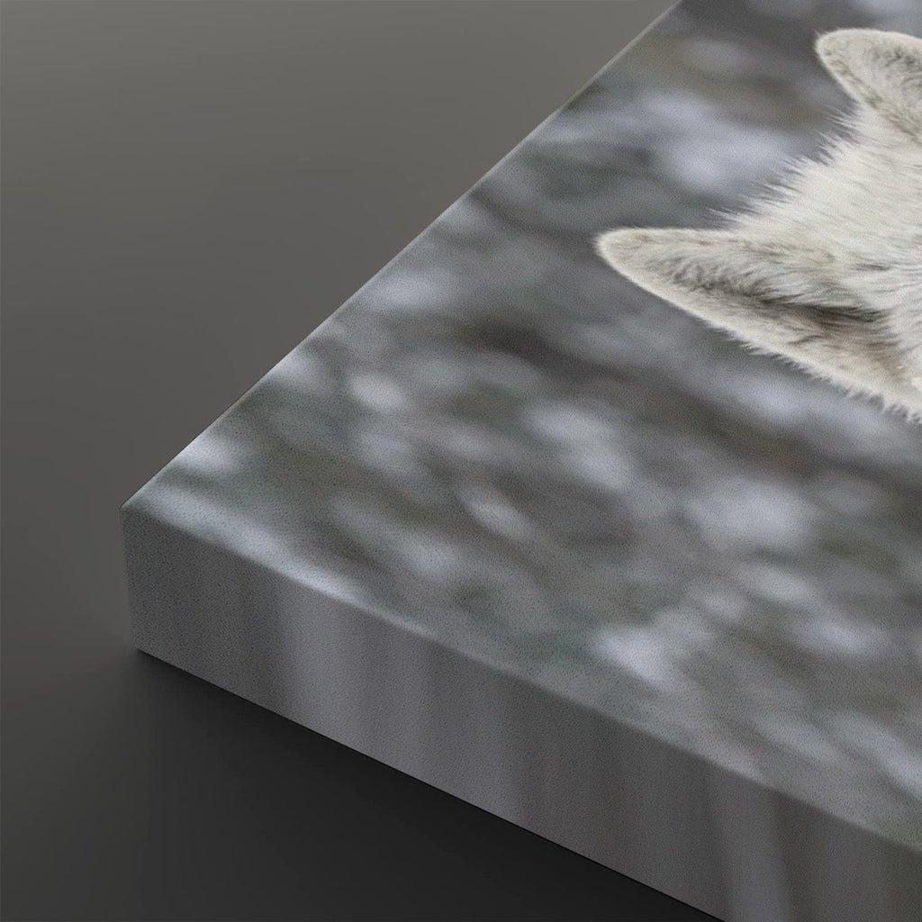 A close-up of a rectangular canvas or print showing a gray and white wolf or cat ear and fur against a blurred gray background, photographed on a dark gray surface.