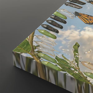 A rectangular canvas wall art print shown at an angle on a dark gray background. The artwork depicts monarch butterflies, chrysalises, green leaves, and a blue sky with clouds, suggesting a nature or metamorphosis theme.