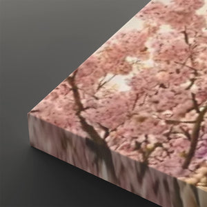 A rectangular canvas print showing a close-up photograph of pink cherry blossoms and tree branches, photographed at an angle against a dark gray background.