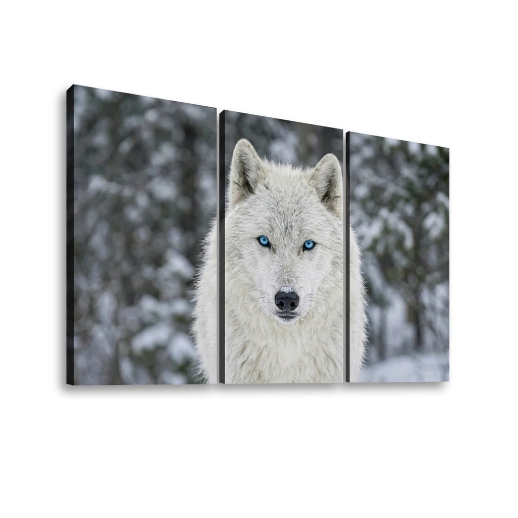 Three-panel canvas wall art showing a close-up portrait of a white wolf with bright blue eyes in a snowy outdoor setting, displayed against a light gray background.