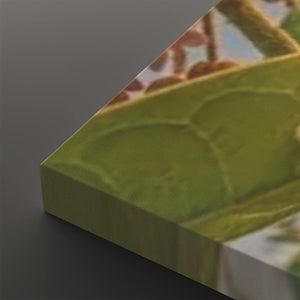 A close-up angled view of a rectangular canvas or print showing a green leafy botanical design, photographed against a dark gray background.