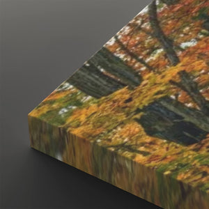 A square canvas print shown at an angle, featuring a blurred autumn forest scene with orange, yellow, green, and dark tree branches, set against a dark gray background.