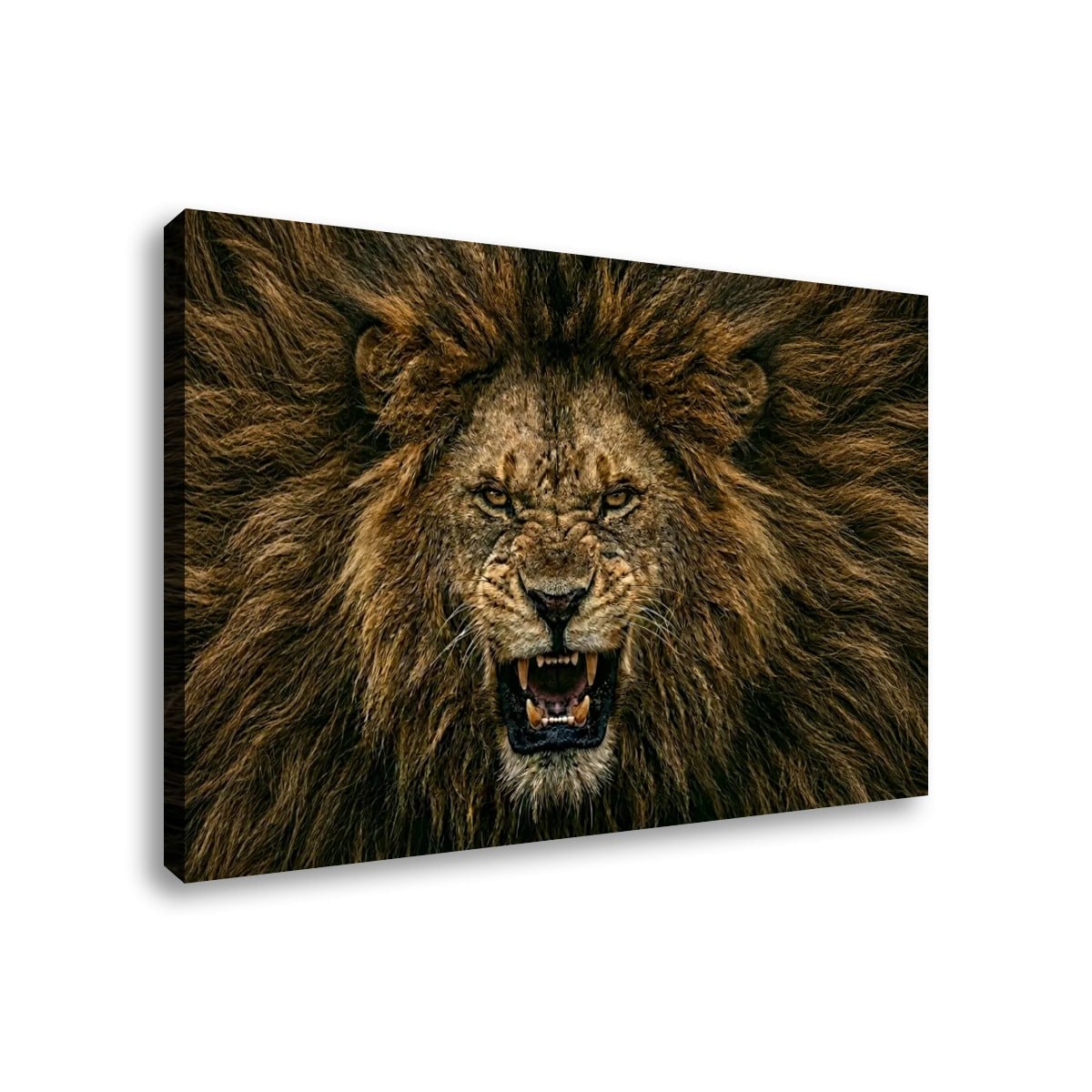 A rectangular wall art canvas showing a close-up lion face with an open mouth and full mane, photographed against a plain white background.