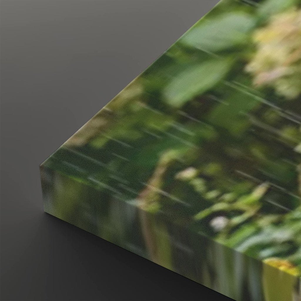 3 Guinea Pigs Playing in the Rain | 5-Panel Level Canvas Wall Art | 1, 3, 5 Panel