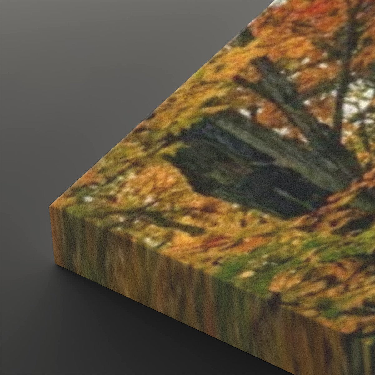 A close-up of a rectangular canvas or print showing an autumn forest scene with orange, yellow, green, and brown foliage, photographed against a dark gray background.