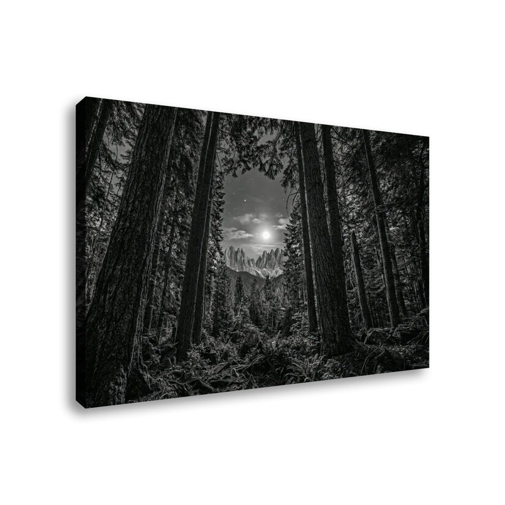 Enchanted Moonlit Forest Living room wall decor over sofa