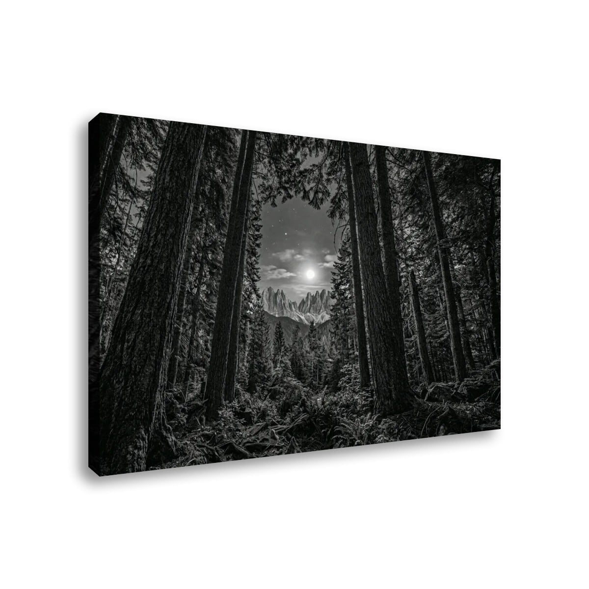 Enchanted Moonlit Forest Living room wall decor over sofa