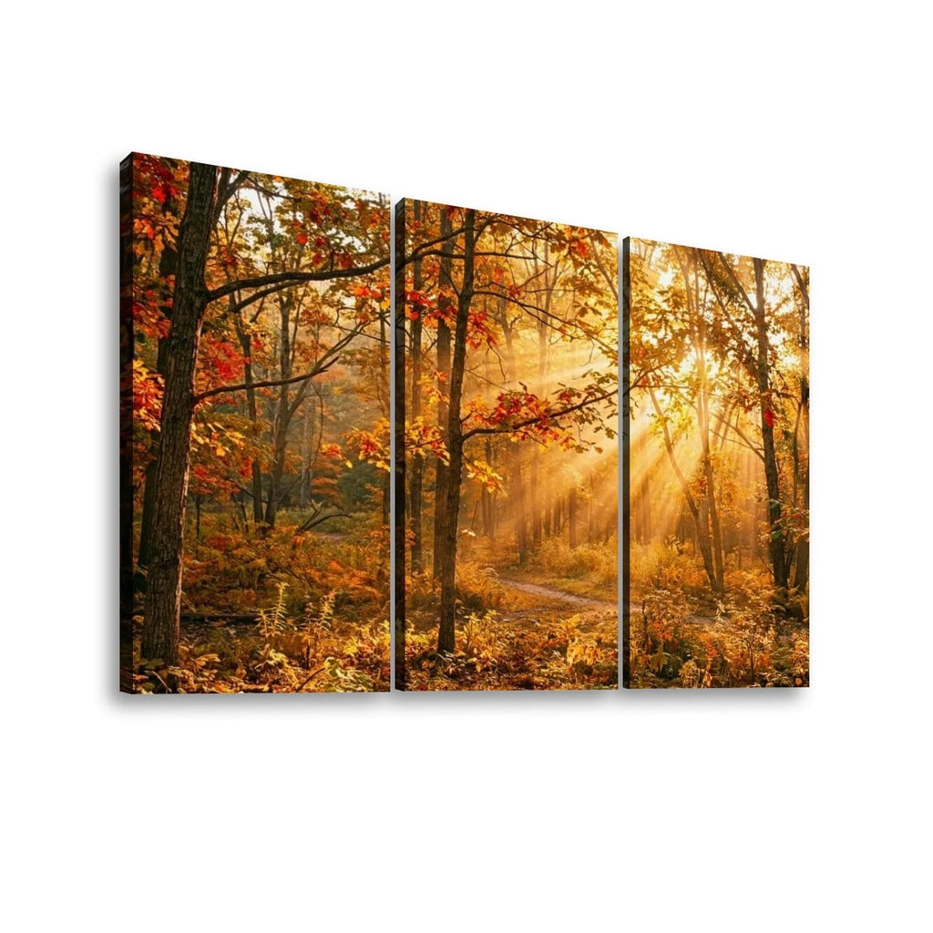 Autumn Forest Fall Sun Rays Canvas Panel Wall Art Living Bed Room Print