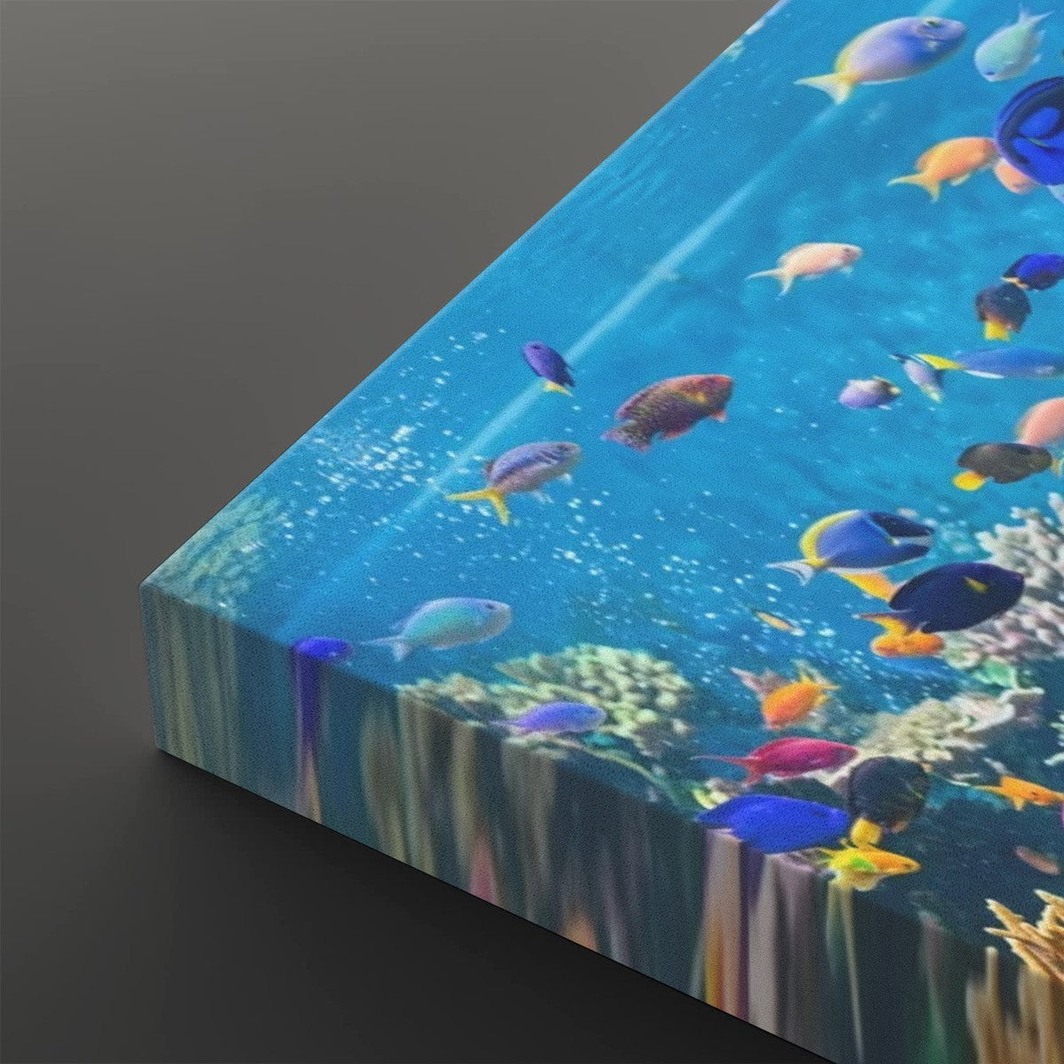 Colorful Fish Aquarium Canvas Wall Art — Vibrant Multi-Panel Print