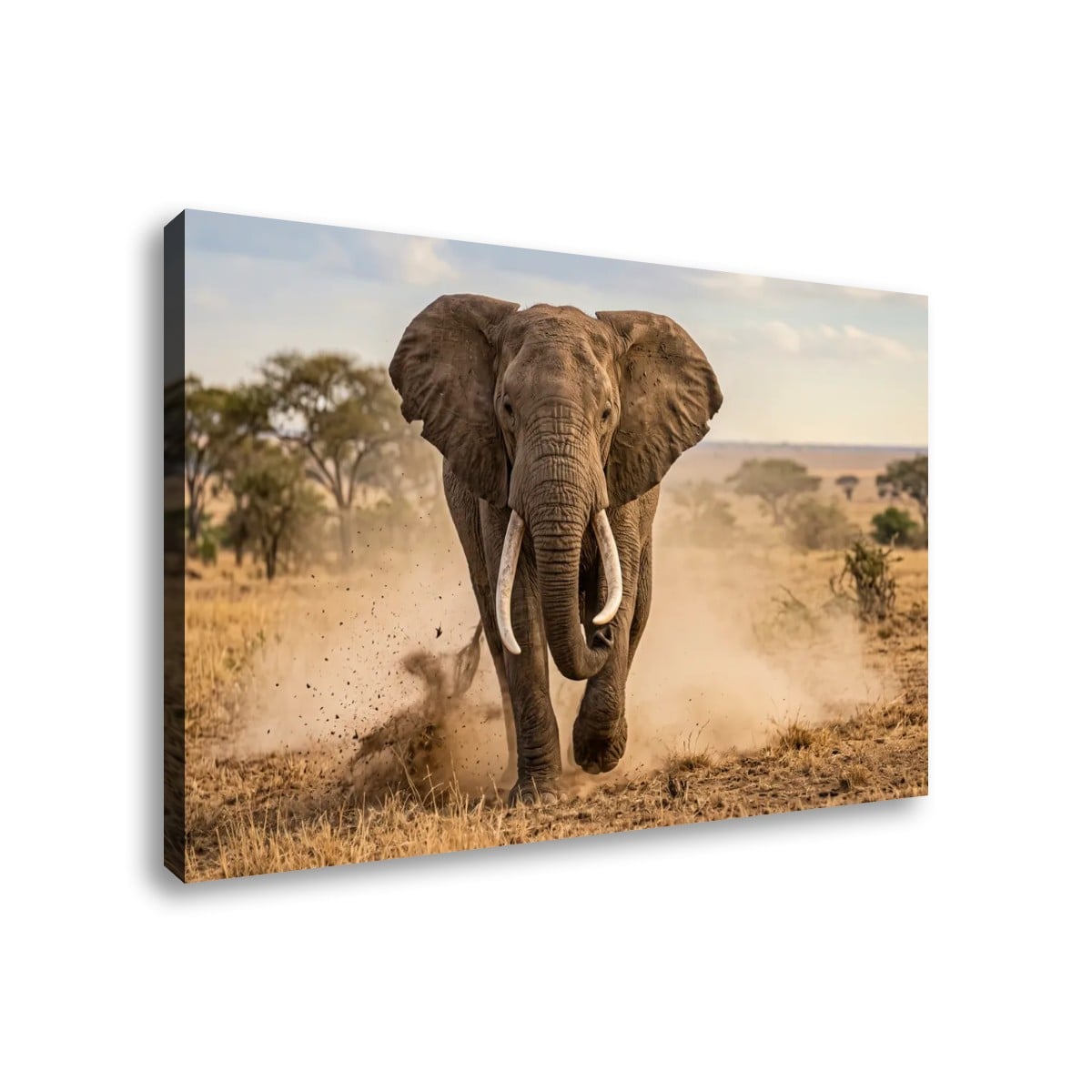 Majestic Elephant Charging Through Savanna 1, 3, 5-Panel Split Canvas Wall Art