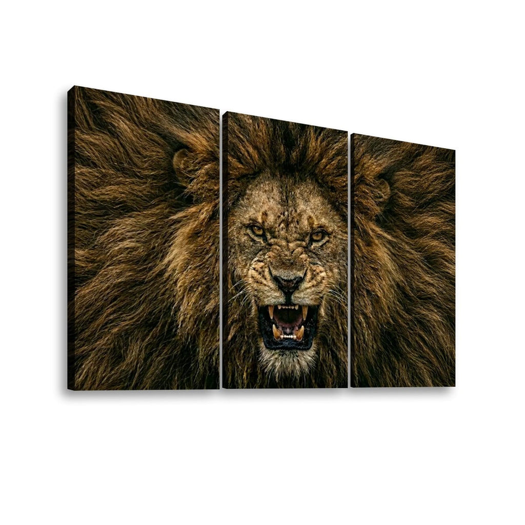 Three-panel canvas wall art showing a close-up lion face and mane in dark brown, black, and tan tones, displayed against a light gray background.