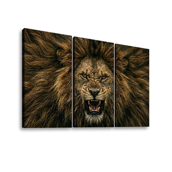 Three-panel canvas wall art showing a close-up lion face and mane in dark brown, black, and tan tones, displayed against a light gray background.