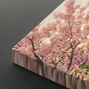 A square canvas print showing a close-up of cherry blossom trees in full pink bloom, displayed at an angle on a dark gray background.