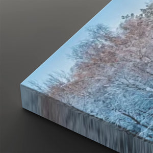 Four Seasons — Winter, Spring, Summer & Fall Canvas Wall Art