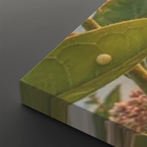 A close-up angled view of a rectangular canvas or print showing a green leaf with a pale oval insect or egg, set against a dark gray background.