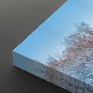 Four Seasons — Winter, Spring, Summer & Fall Canvas Wall Art