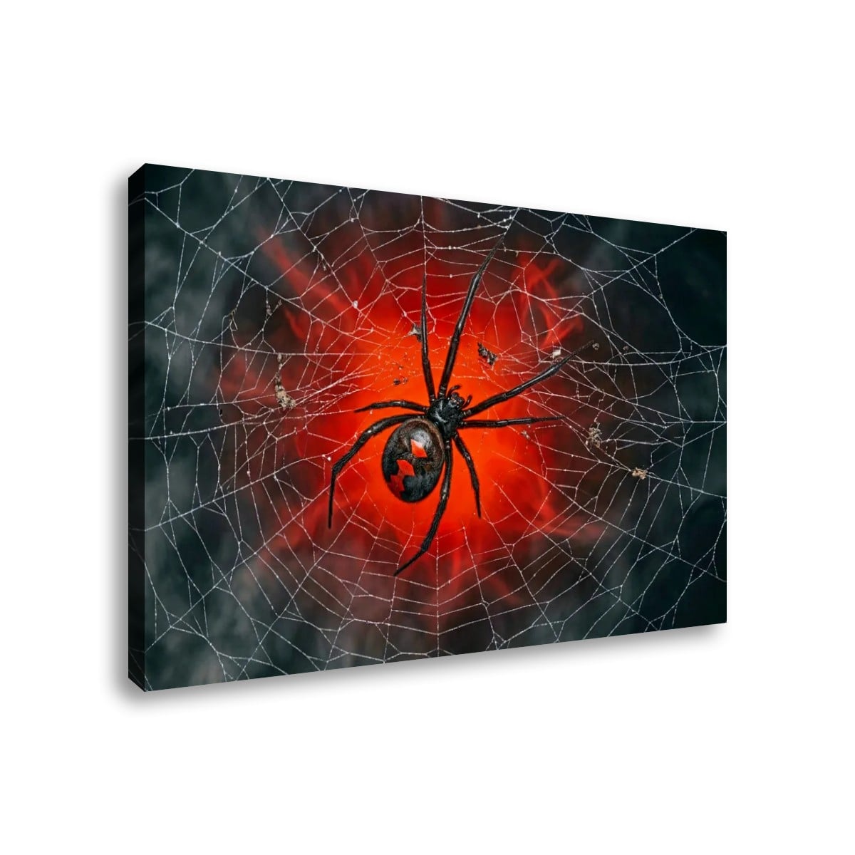 Black Widow Spider Web Canvas Wall Art