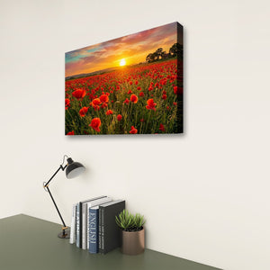 Fields of Fire – Golden Hour Poppy Field 5-Panel Canvas Wall Art