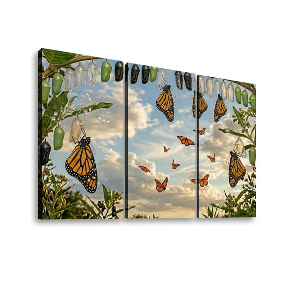 A three-panel canvas wall art set depicting monarch butterflies hanging from green chrysalises against a cloudy sky at sunset, shown on a white background.