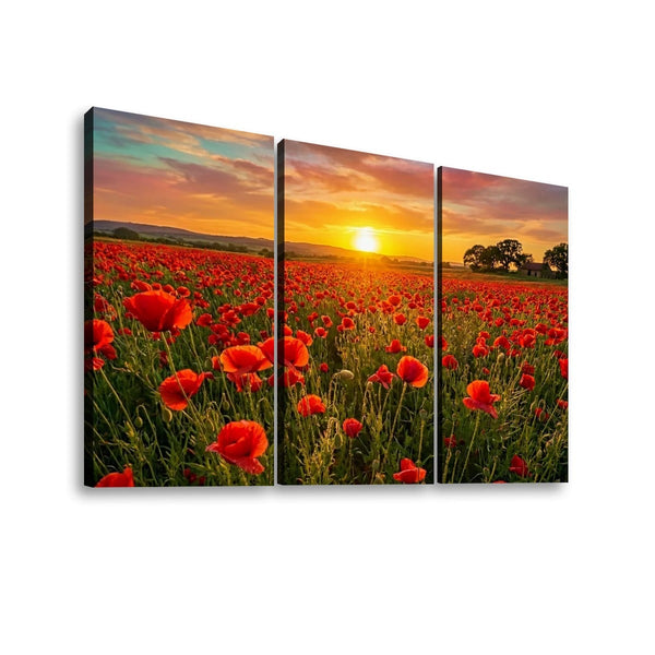 Golden Hour Poppy Field Canvas Wall Art – Fields of Fire | 5-Panel Level Nature Landscape Print