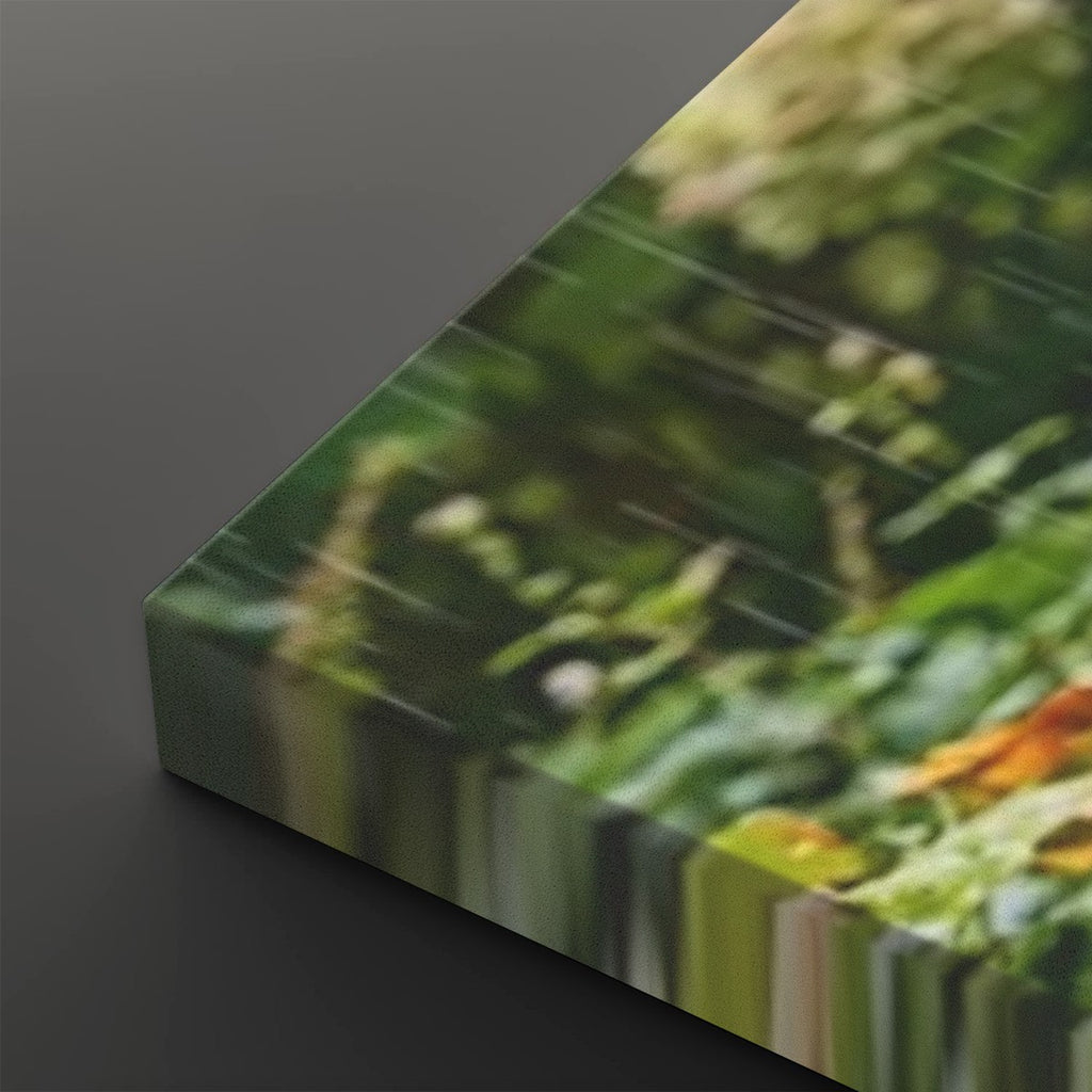 3 Guinea Pigs Playing in the Rain | 5-Panel Level Canvas Wall Art | 1, 3, 5 Panel