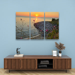 A three-panel canvas wall art print depicting a sunset over a rocky shoreline with water and flowers, displayed above a wooden console table against a light blue wall.