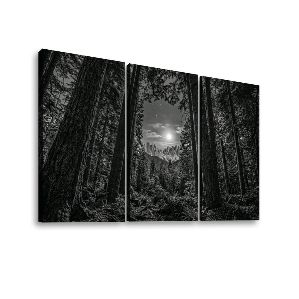 Enchanted Moonlit Forest Living room wall decor over sofa