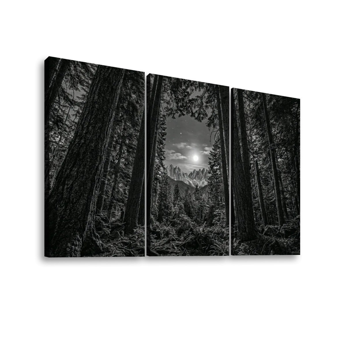 Enchanted Moonlit Forest Living room wall decor over sofa